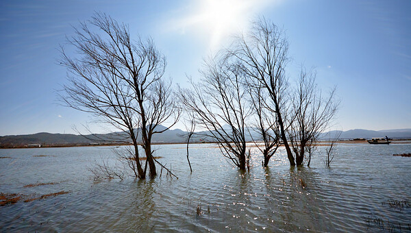 Crues à Bordeaux : un plan d'urgence activé pour la première fois depuis 1999